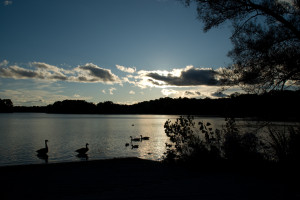 Spy Pond as the sun comes up